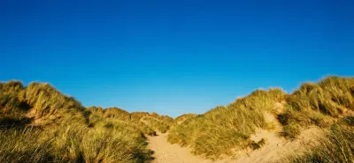 A sandy path winding through marram-grass dunes